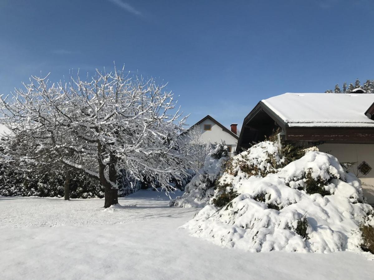 V Gemuetliches Gartenhaus Sankt Michael ob Bleiburg ภายนอก รูปภาพ