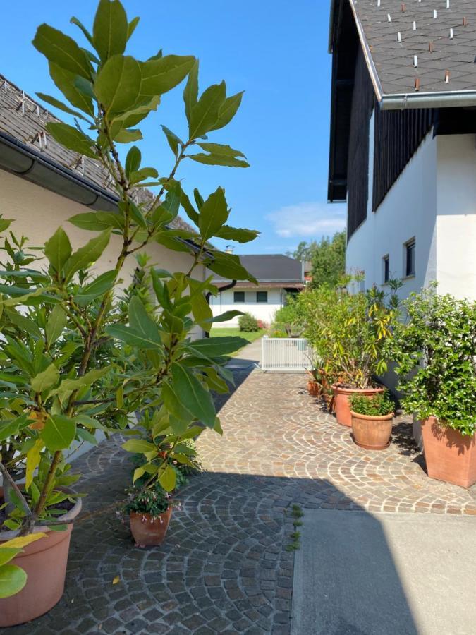 V Gemuetliches Gartenhaus Sankt Michael ob Bleiburg ภายนอก รูปภาพ